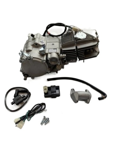 Motor daytona anima 190f 4v