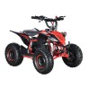Mini ATV kf for kids