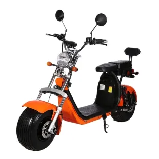 Electric skateboard HARLEY new model