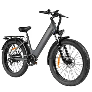 BICICLETA ELECTRICA 250W EB11 2