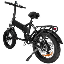 ELECTRIC BICYCLE 250W EB3