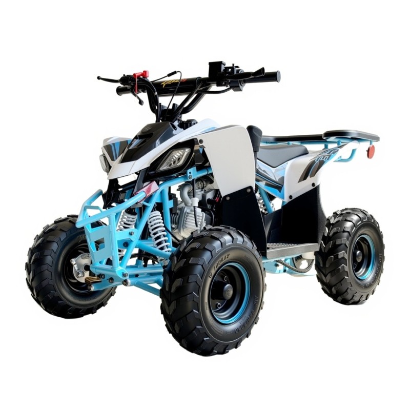 Miniquad niños 6'' Predator