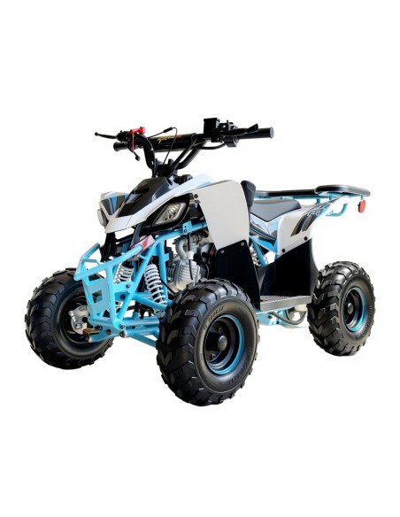 Miniquad niños 6'' Predator