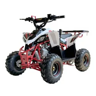 Mini atv kids 6'' 2