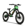 Electric BICYCLE 500W ESHARK