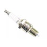 Spark plug NGK BP6ES