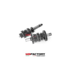 Cambio completo Daytona Anima 190 GP5 - FE - 16mm - (5 Marce) Race