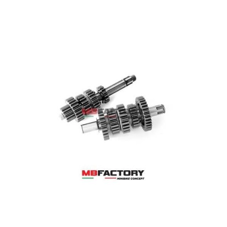 Cambio completo Daytona Anima 190 GP5 - FE - 16mm - (5 Marce) Race