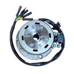 Magneto assy yx160