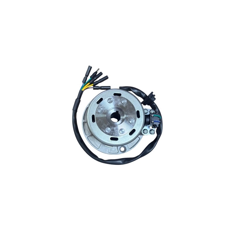 Magneto assy yx160