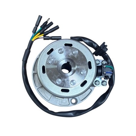 Magneto assy yx160