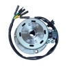 Magneto assy yx160