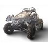 BUGGY MTR VOLCANO 1100cc Matriculable!!