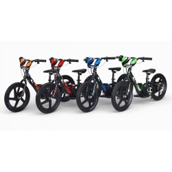Electric bicycle balance 16inch