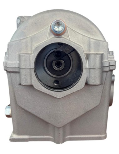 Culata zs450