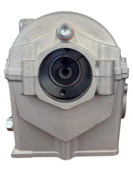 Culata zs450