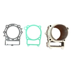 ZS450 Cylinder with Gaskets