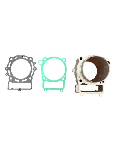 ZS450 Cylinder with Gaskets