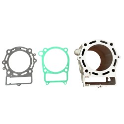 ZS450 Cylinder with Gaskets