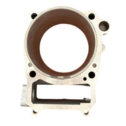 ZS450 Cylinder with Gaskets