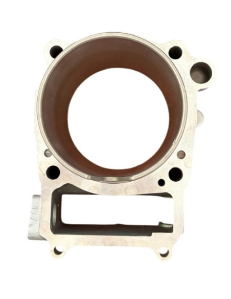ZS450 Cylinder with Gaskets