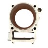 ZS450 Cylinder with Gaskets