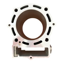 ZS450 Cylinder with Gaskets