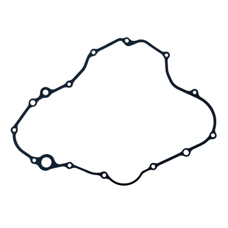 Motor crankcase gasket ZS450