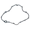 Motor crankcase gasket ZS450