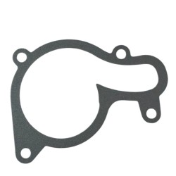 Water pump cover gasket for ZS450