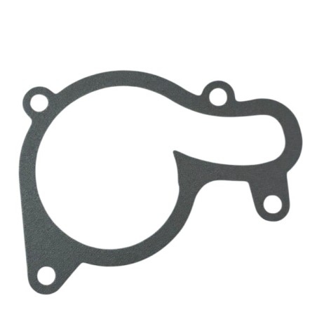 Water pump cover gasket for ZS450