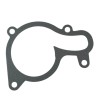 Water pump cover gasket for ZS450