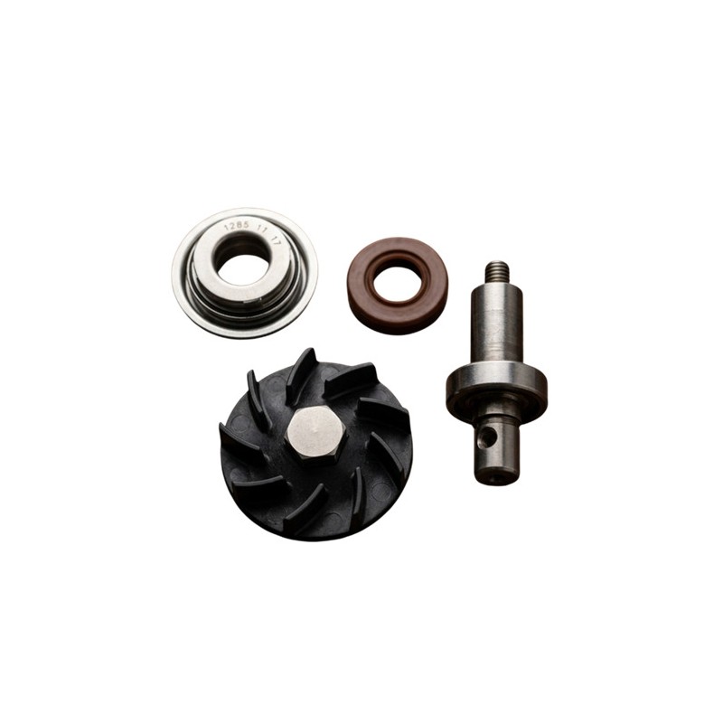 Kit de reparacion bomba de agua zs450