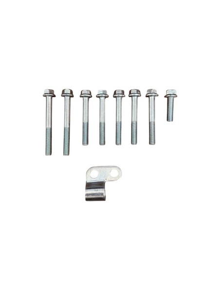 Tornillos tapa embrague