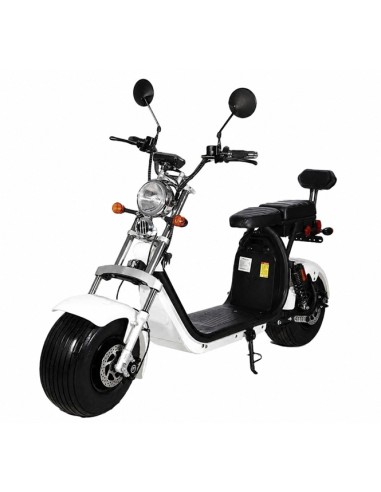 Electric skateboard HARLEY new model