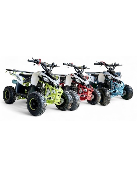 Miniquad niños 6'' Predator