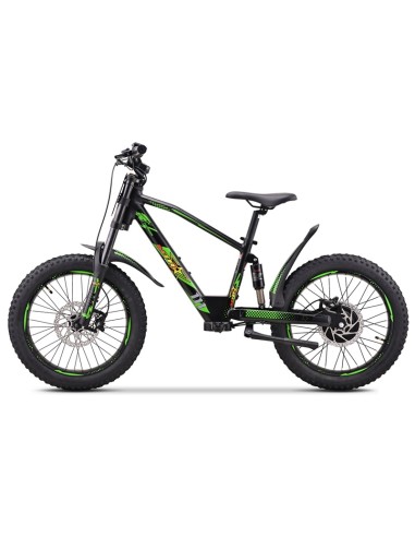 Electric BICYCLE 500W THUNDER PRO