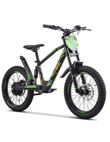 Electric BICYCLE 500W THUNDER PRO
