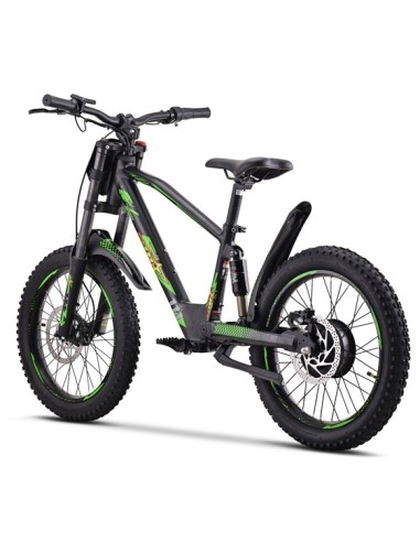Electric BICYCLE 500W THUNDER PRO