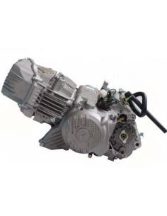 Motor zs190cc 2V con arranque electrico 2