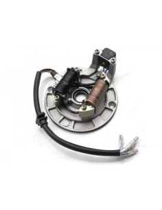 Pit bike ignition