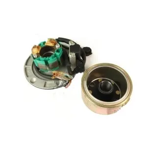 ENCENDIDO MOTOR ZS PEQUEÑO + IMAN 2