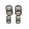 VALVE SPRINGS YX or ZS 