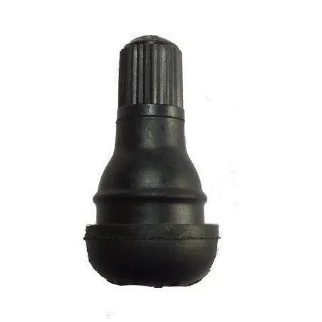 VALVE TUBELESS DROIT
