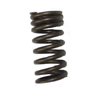 SPRING VALVE DAYTONA