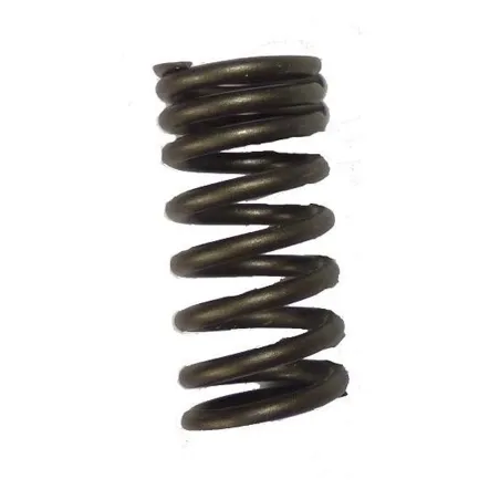 SPRING VALVE DAYTONA