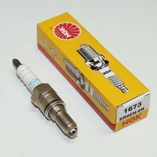 PLUG ER9EH-6N