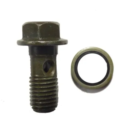 TORNILLO RADIADOR 10MM