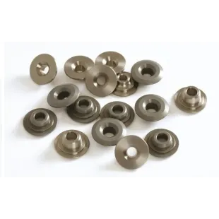 VALVES PLATES PIT BIKE ENGINES