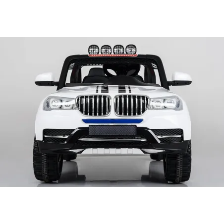 Electric car bmw x5